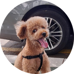 코봉이